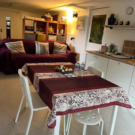 Studio Renove Rdc Terrasse Wepion 나무르 외부 사진