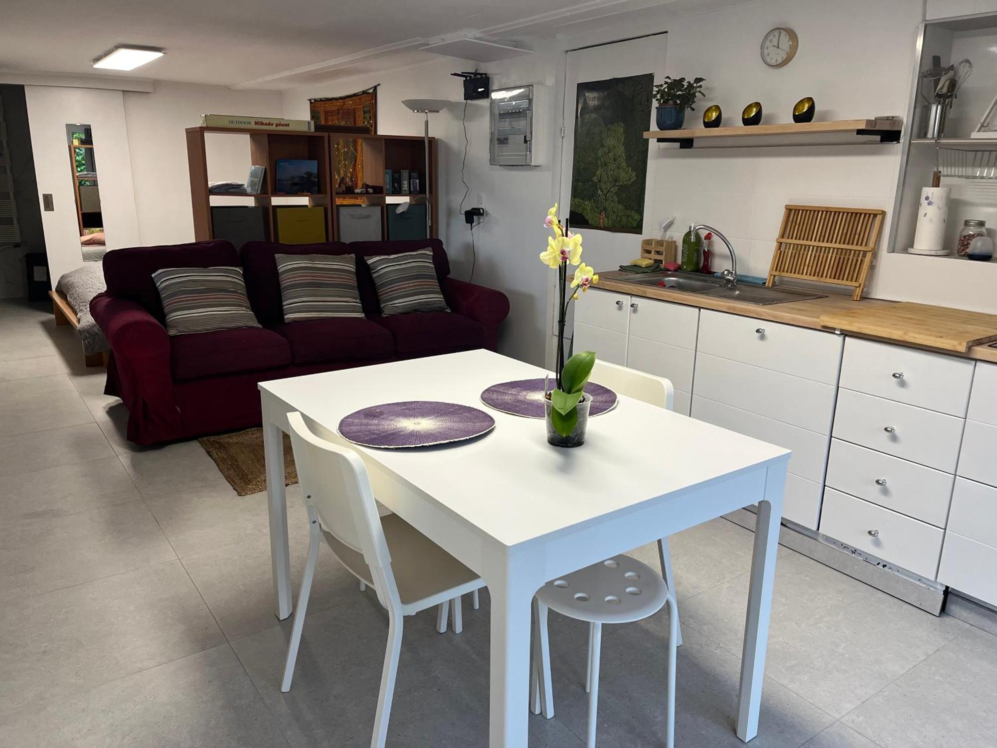 Studio Renove Rdc Terrasse Wepion 나무르 외부 사진