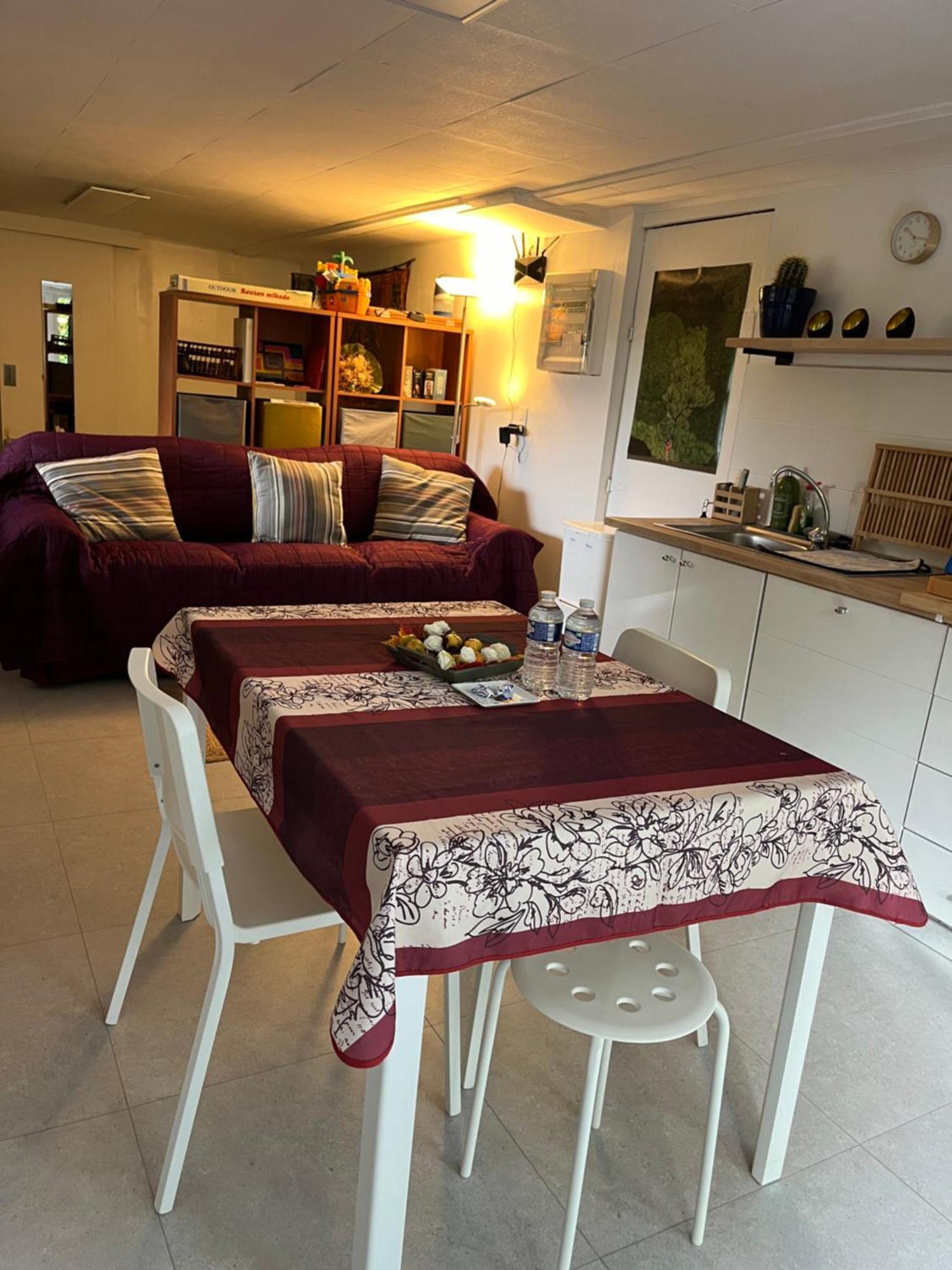 Studio Renove Rdc Terrasse Wepion 나무르 외부 사진